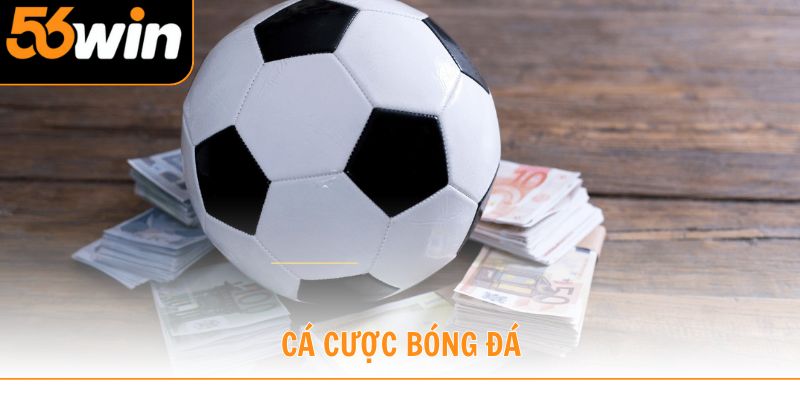 cá cược bóng đá