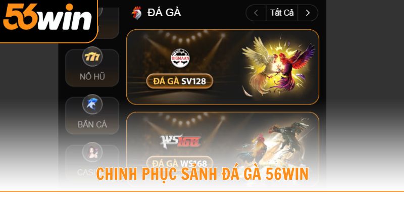Chinh phục sảnh đá gà 56win với đa dạng giải đấu và hình thức cược