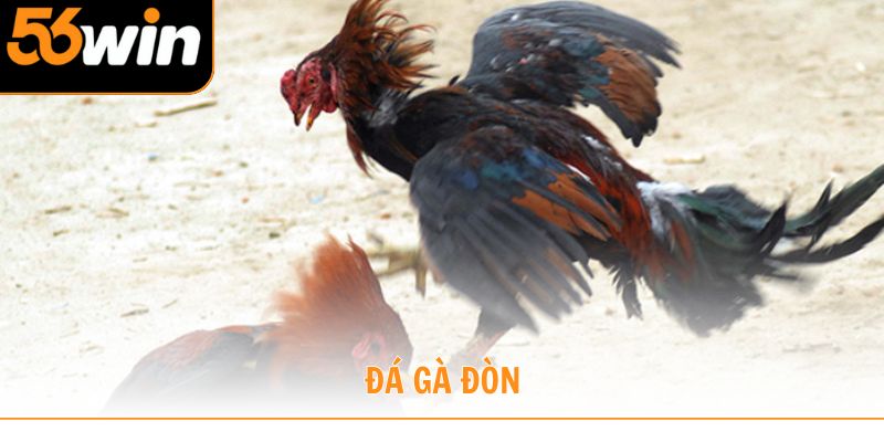 Đá gà đòn