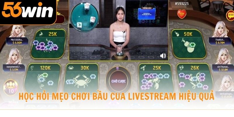 Học hỏi mẹo chơi Bầu Cua Livestream hiệu quả
