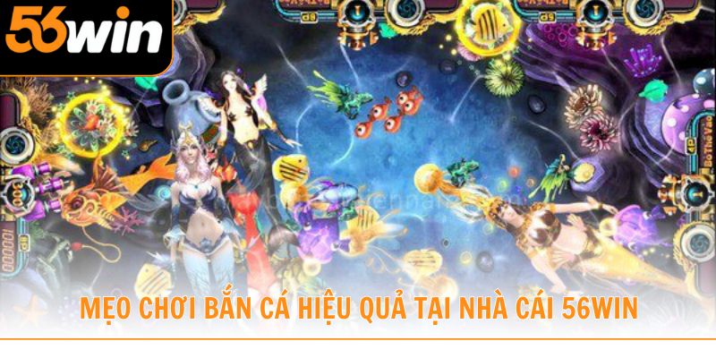 Mẹo chơi bắn cá hiệu quả tại nhà cái 56win